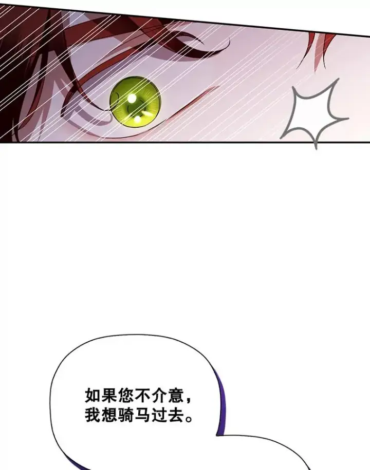 《如何隐藏皇帝的孩子》14.晴天霹雳图87