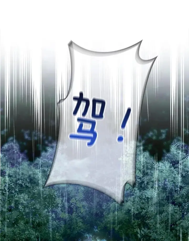 《如何隐藏皇帝的孩子》14.晴天霹雳图93
