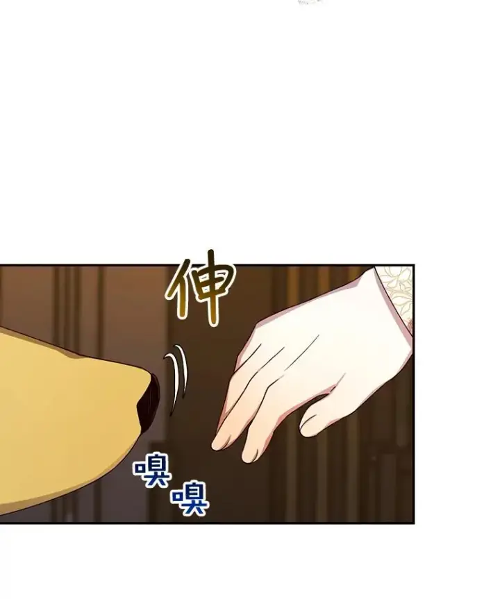 《如何隐藏皇帝的孩子》15.父子独处图60