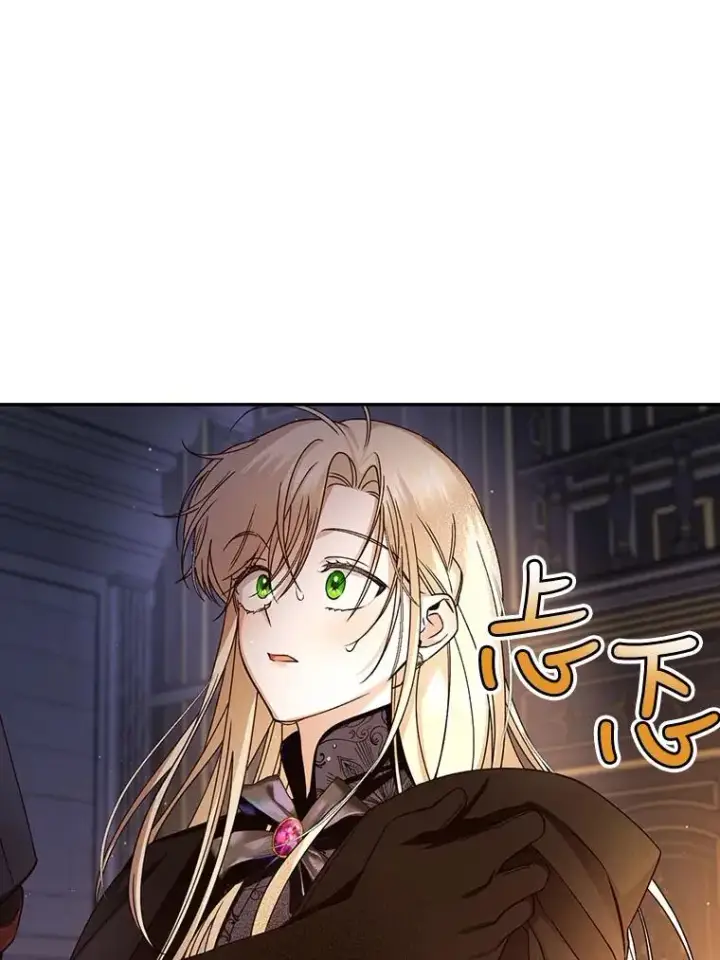 《如何隐藏皇帝的孩子》17.心生疑惑图15