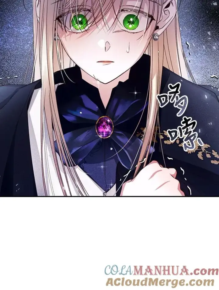 《如何隐藏皇帝的孩子》17.心生疑惑图25