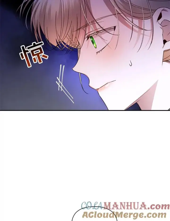 《如何隐藏皇帝的孩子》19.奇怪的侍女图31