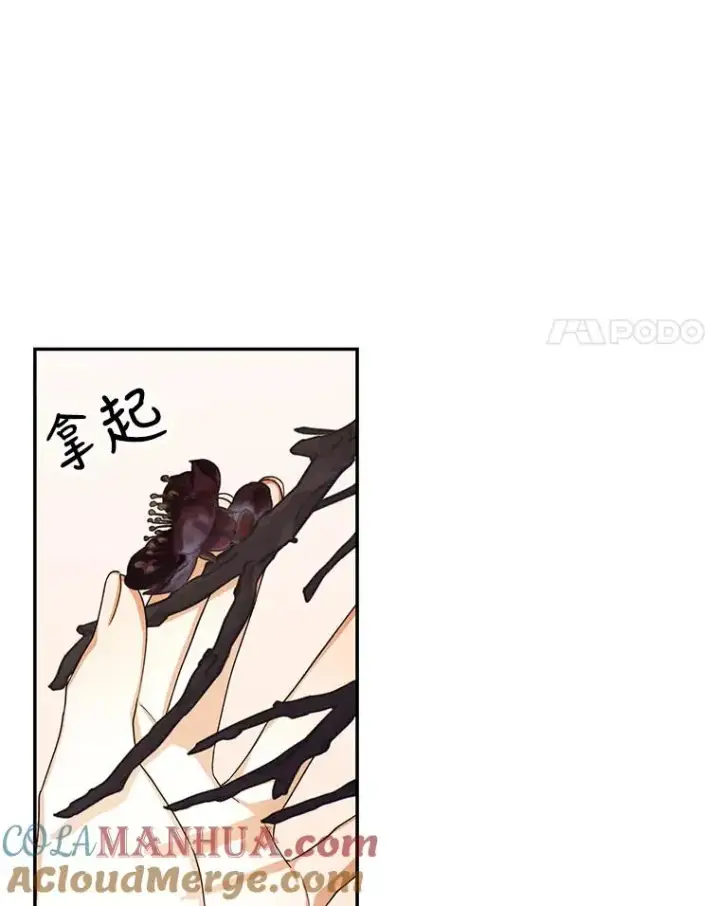 《如何隐藏皇帝的孩子》19.奇怪的侍女图4