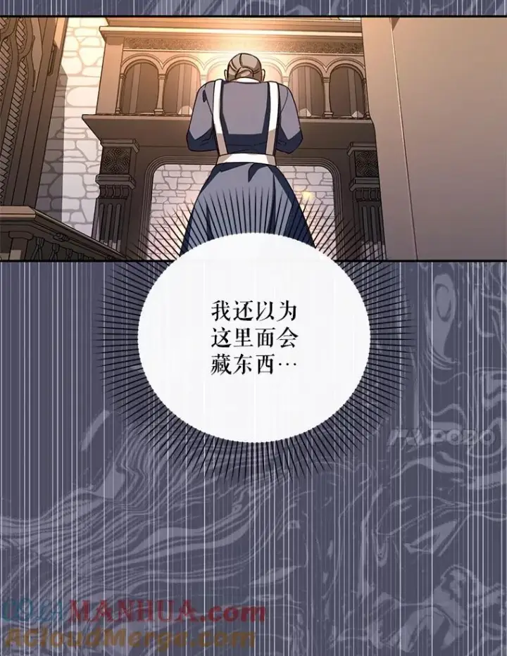 《如何隐藏皇帝的孩子》19.奇怪的侍女图40