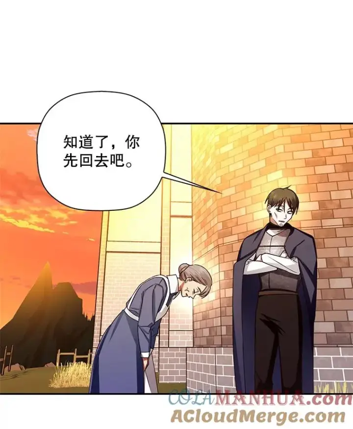 《如何隐藏皇帝的孩子》19.奇怪的侍女图52