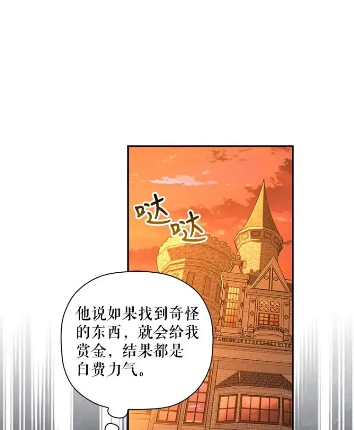 《如何隐藏皇帝的孩子》19.奇怪的侍女图53