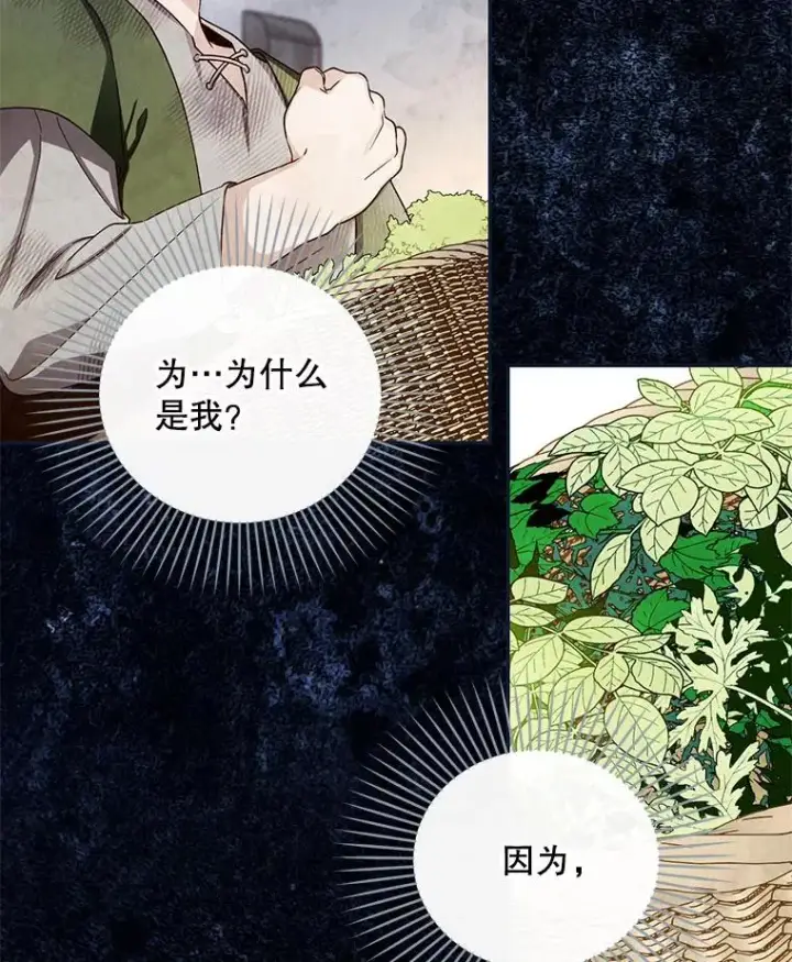 《如何隐藏皇帝的孩子》19.奇怪的侍女图56