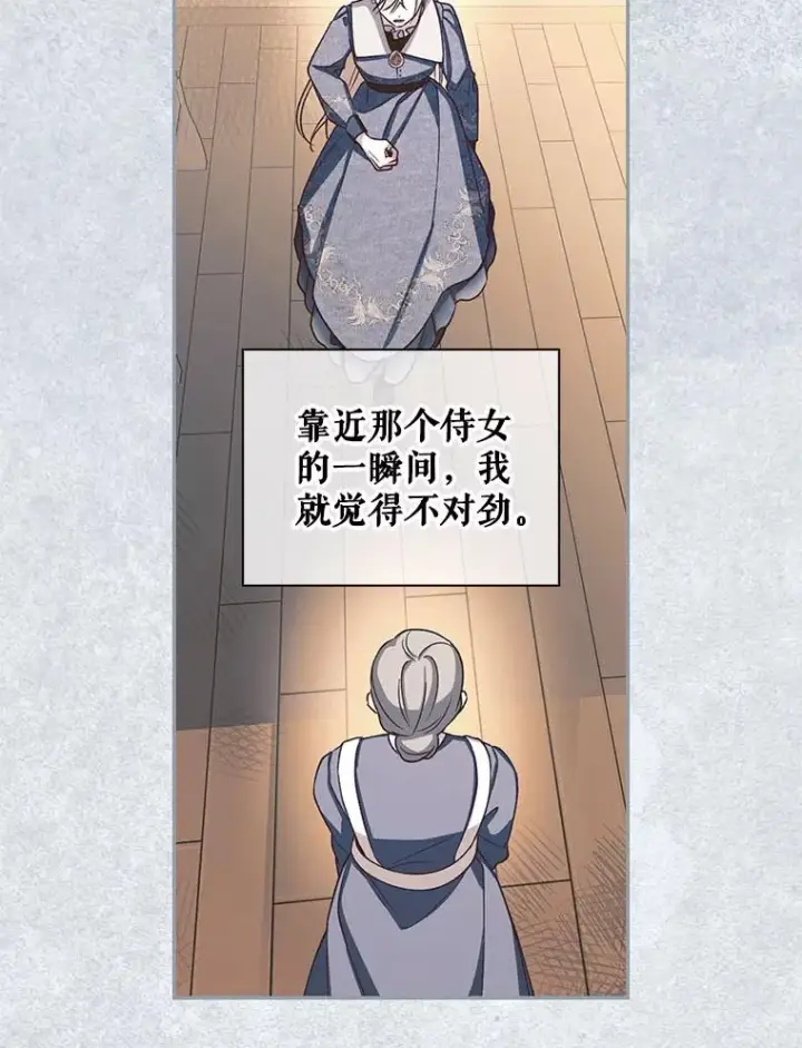 《如何隐藏皇帝的孩子》19.奇怪的侍女图69