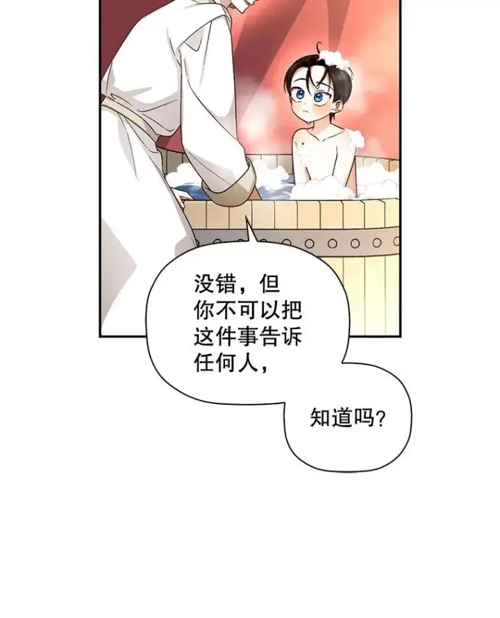 《如何隐藏皇帝的孩子》19.奇怪的侍女图87