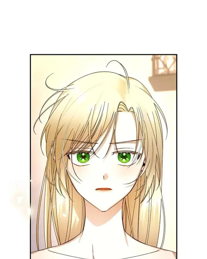 《如何隐藏皇帝的孩子》21.将计就计图10