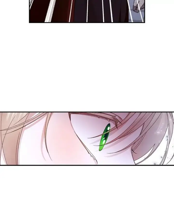 《如何隐藏皇帝的孩子》21.将计就计图36
