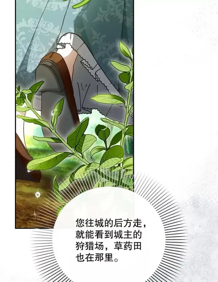 《如何隐藏皇帝的孩子》21.将计就计图51
