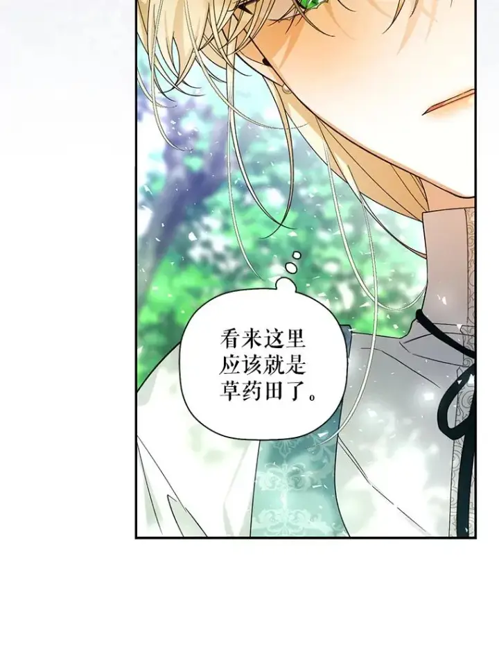 《如何隐藏皇帝的孩子》21.将计就计图54