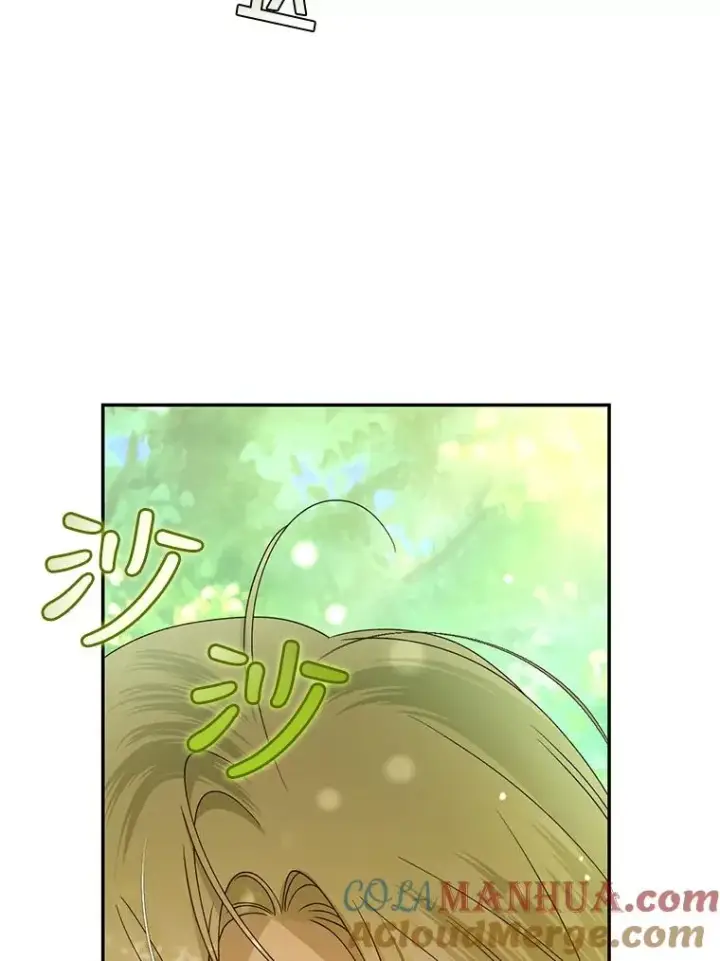 《如何隐藏皇帝的孩子》21.将计就计图93