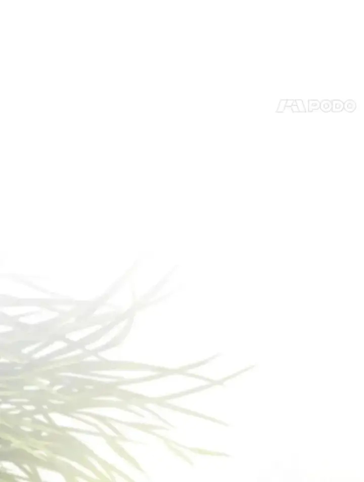 《如何隐藏皇帝的孩子》21.将计就计图98