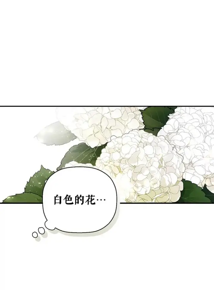 《如何隐藏皇帝的孩子》22.采草药图12