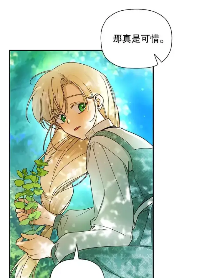 《如何隐藏皇帝的孩子》22.采草药图41