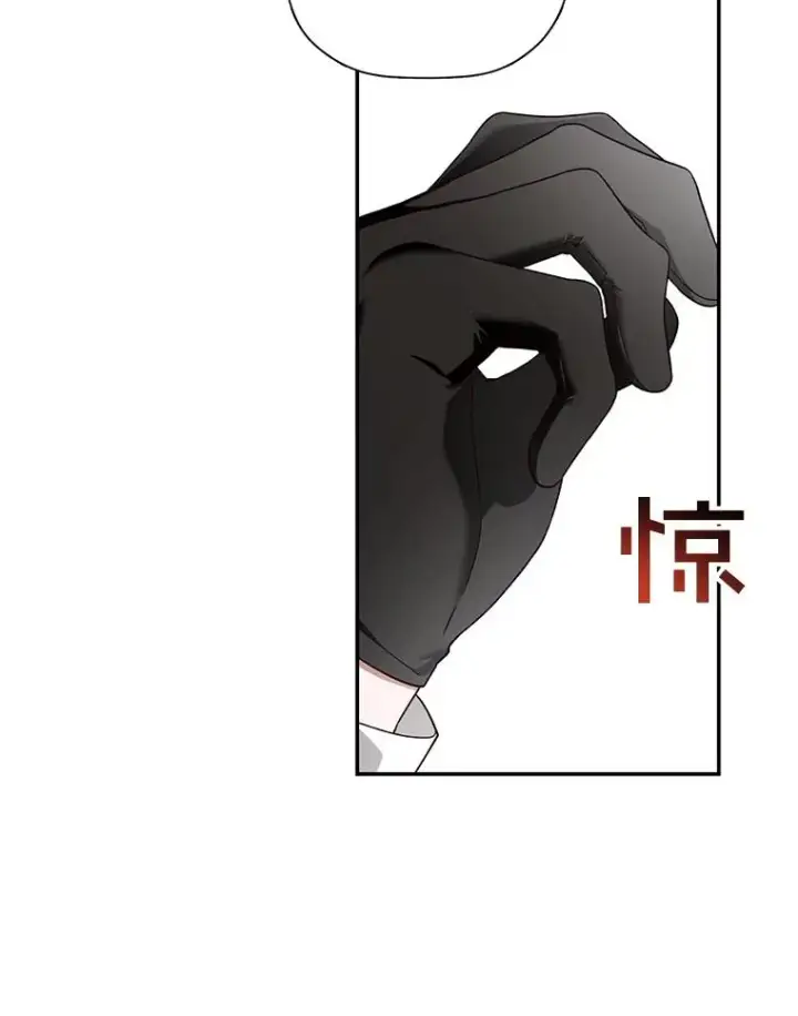 《如何隐藏皇帝的孩子》25.神秘的弗洛琳图34