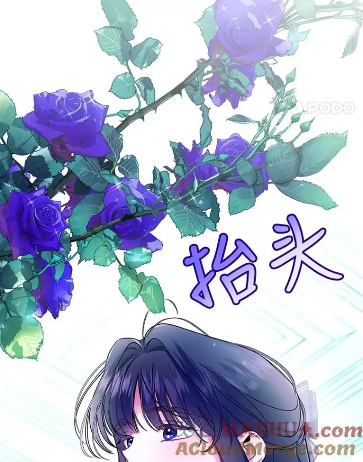 《如何隐藏皇帝的孩子》25.神秘的弗洛琳图37