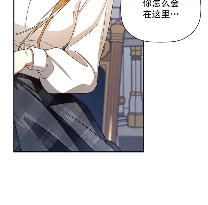 《如何隐藏皇帝的孩子》25.神秘的弗洛琳图46