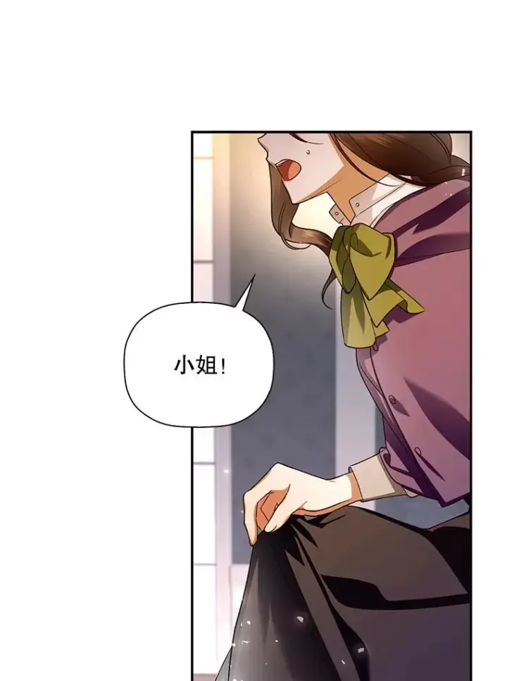 《如何隐藏皇帝的孩子》25.神秘的弗洛琳图47