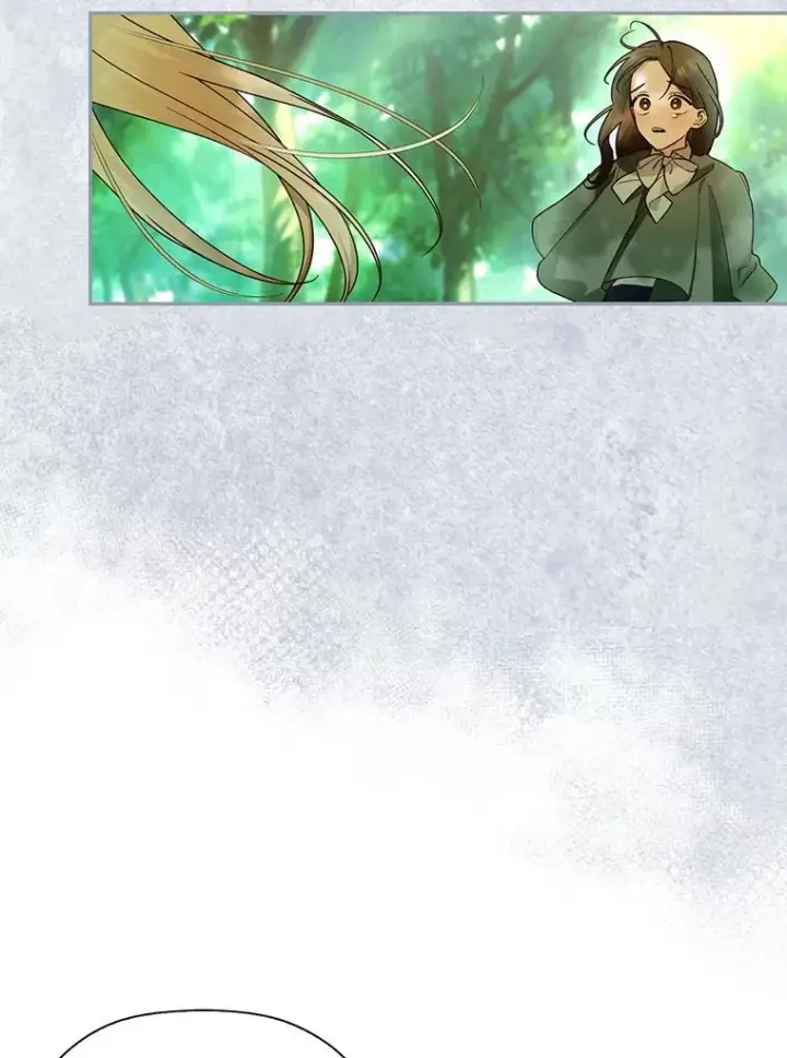 《如何隐藏皇帝的孩子》25.神秘的弗洛琳图56