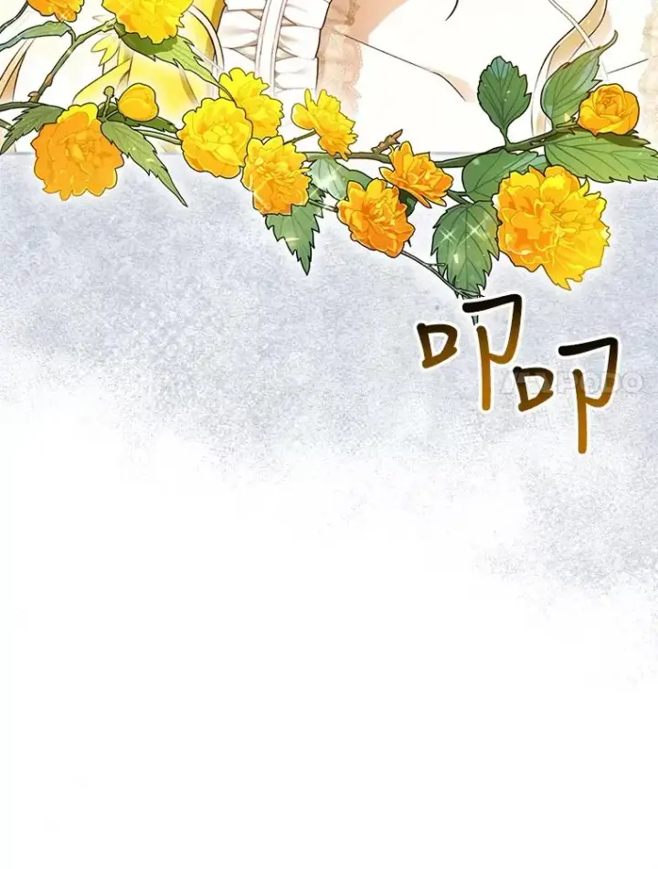 《如何隐藏皇帝的孩子》25.神秘的弗洛琳图7