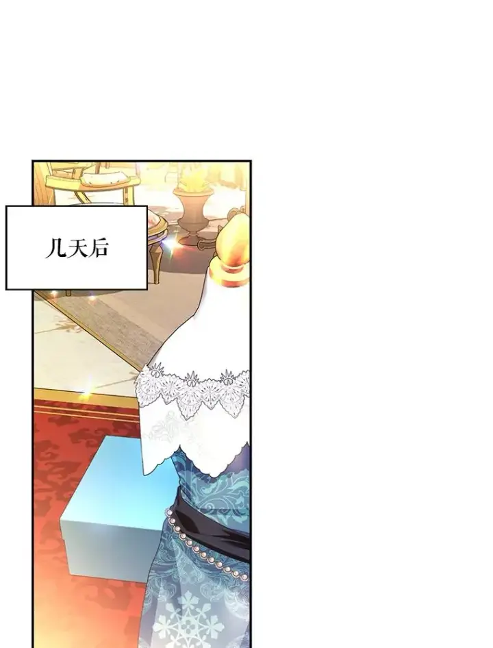 《如何隐藏皇帝的孩子》29.又失踪了！图27