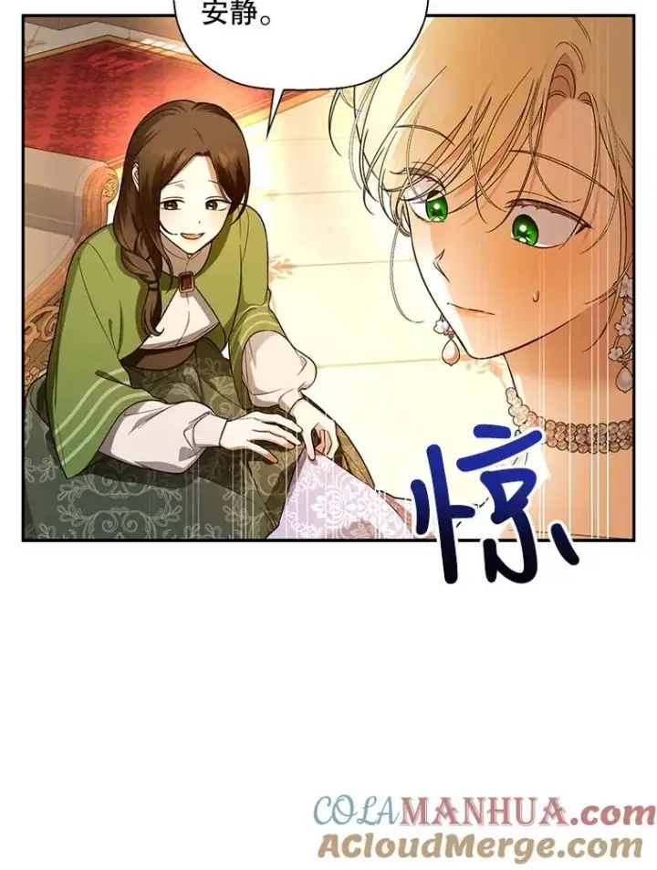 《如何隐藏皇帝的孩子》29.又失踪了！图34