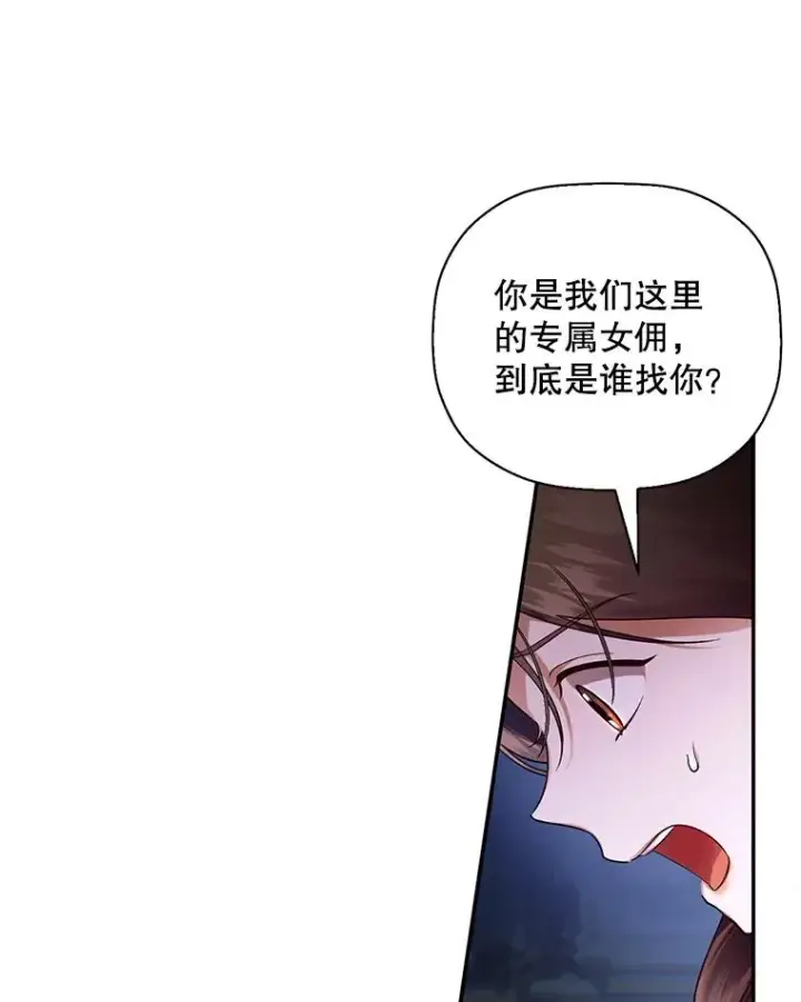 《如何隐藏皇帝的孩子》29.又失踪了！图53