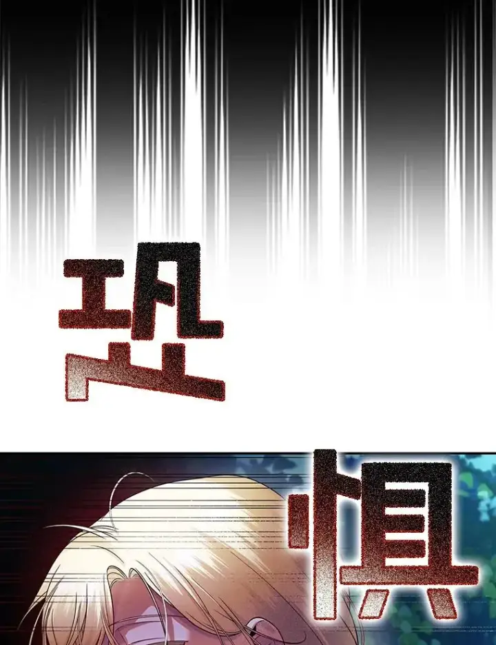 《如何隐藏皇帝的孩子》29.又失踪了！图68