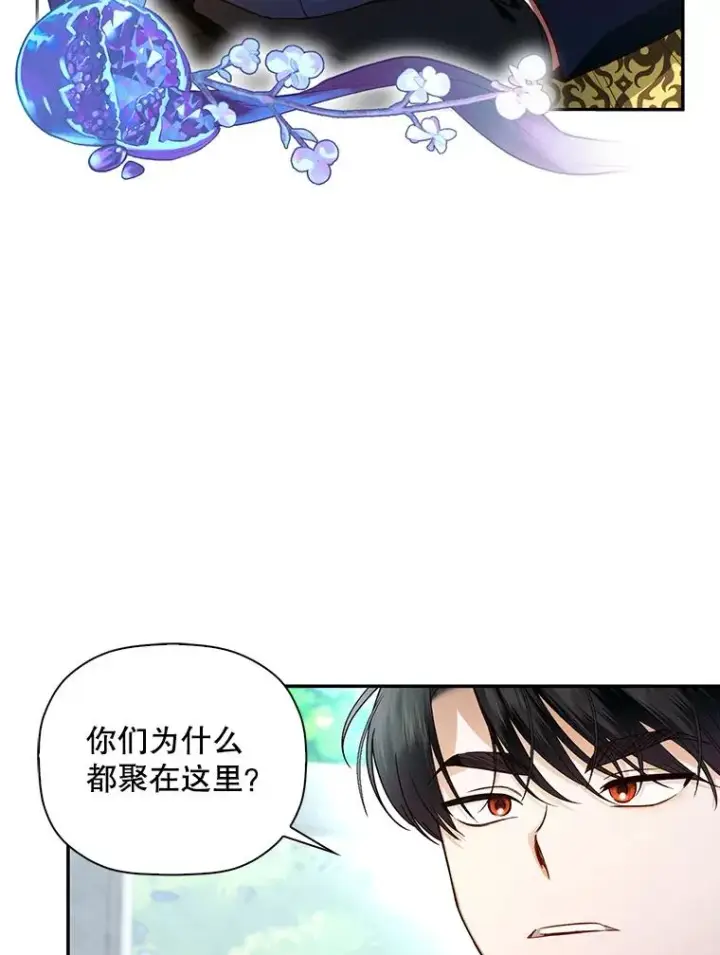 《如何隐藏皇帝的孩子》30.九死一生图27