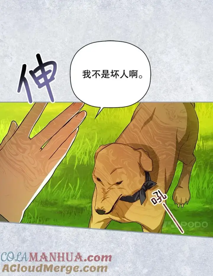 《如何隐藏皇帝的孩子》30.九死一生图69