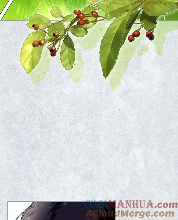 《如何隐藏皇帝的孩子》31.找出绑匪图10