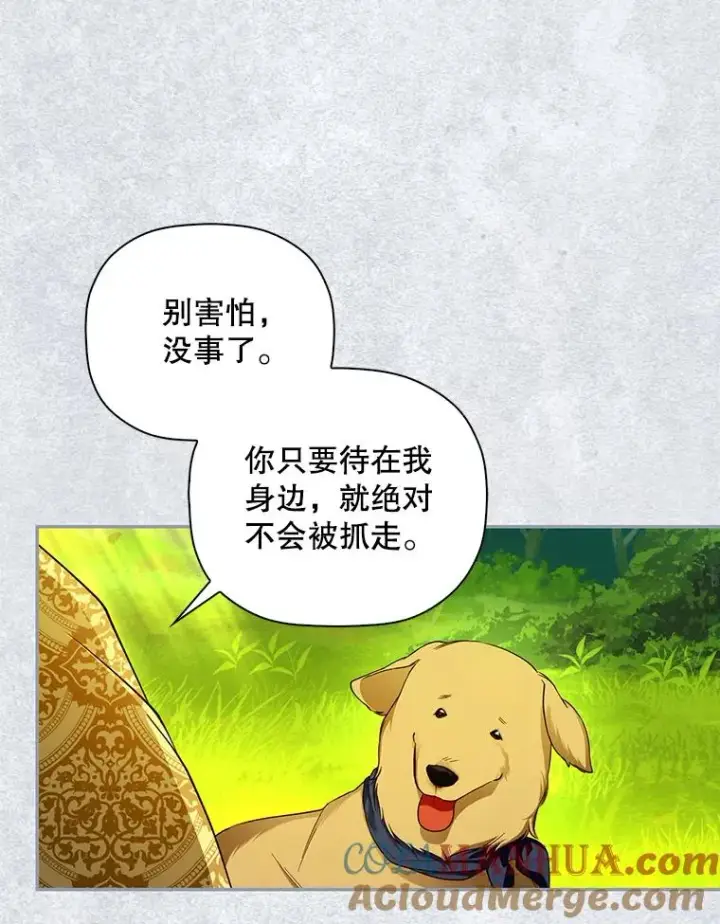 《如何隐藏皇帝的孩子》31.找出绑匪图13