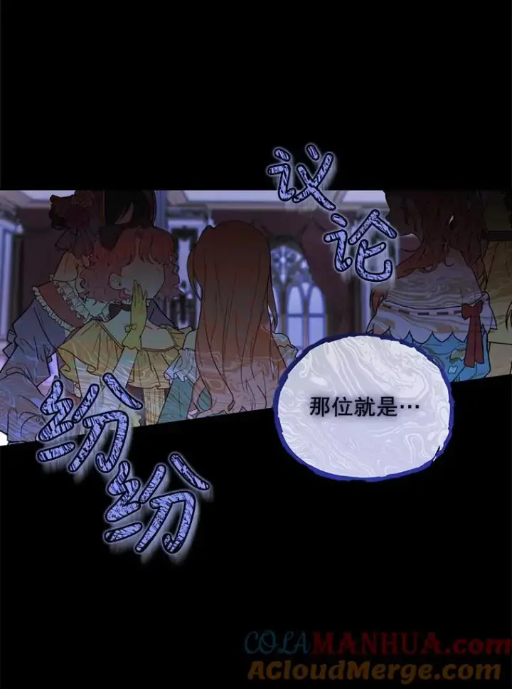 《如何隐藏皇帝的孩子》34.舞会图29