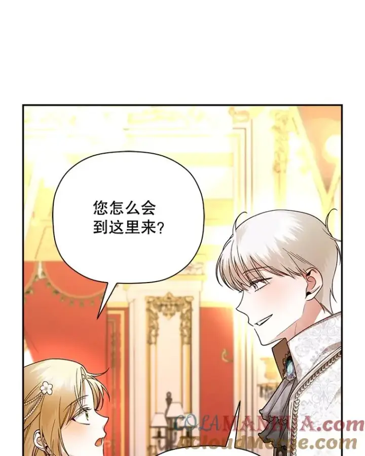 《如何隐藏皇帝的孩子》34.舞会图57
