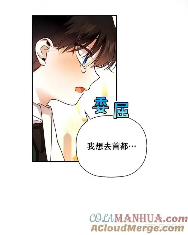 《如何隐藏皇帝的孩子》37.野餐图49
