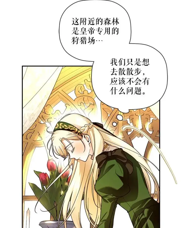 《如何隐藏皇帝的孩子》37.野餐图60