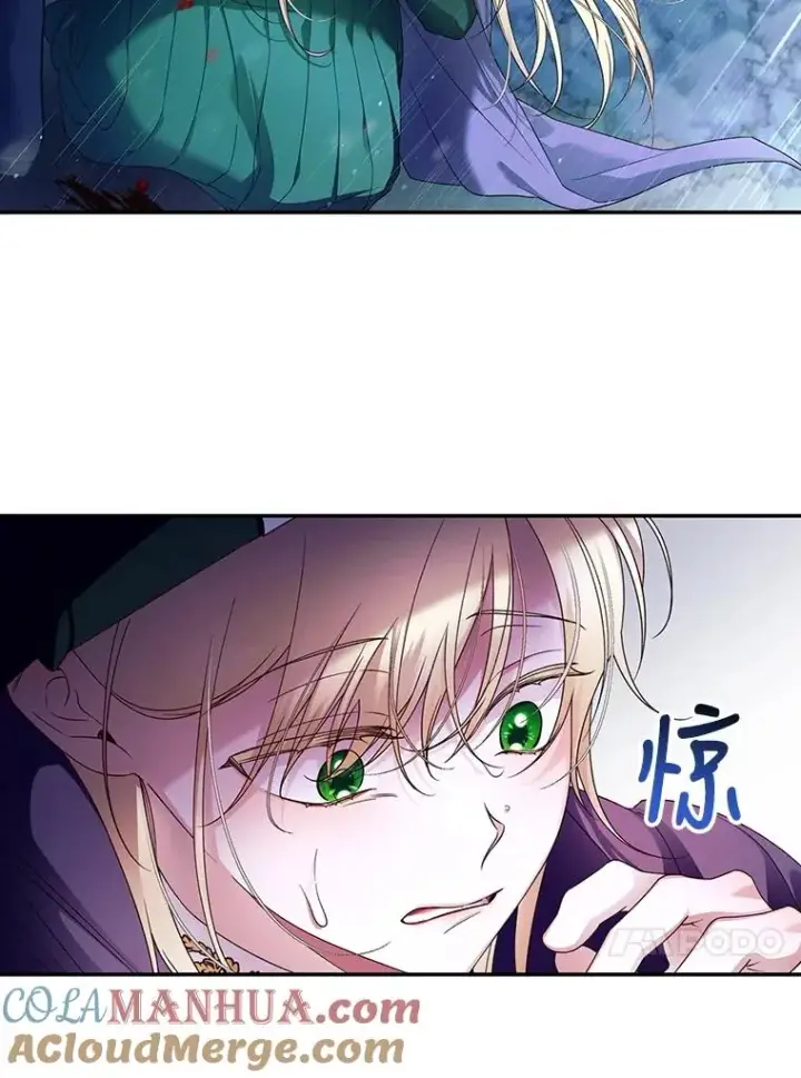 《如何隐藏皇帝的孩子》39.危急时刻图73