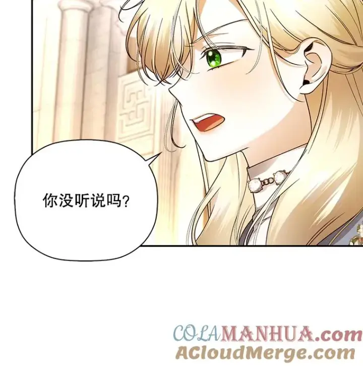 《如何隐藏皇帝的孩子》43.兄妹图13