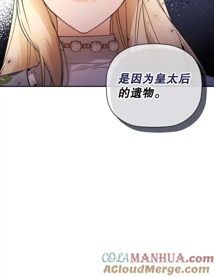 《如何隐藏皇帝的孩子》43.兄妹图31