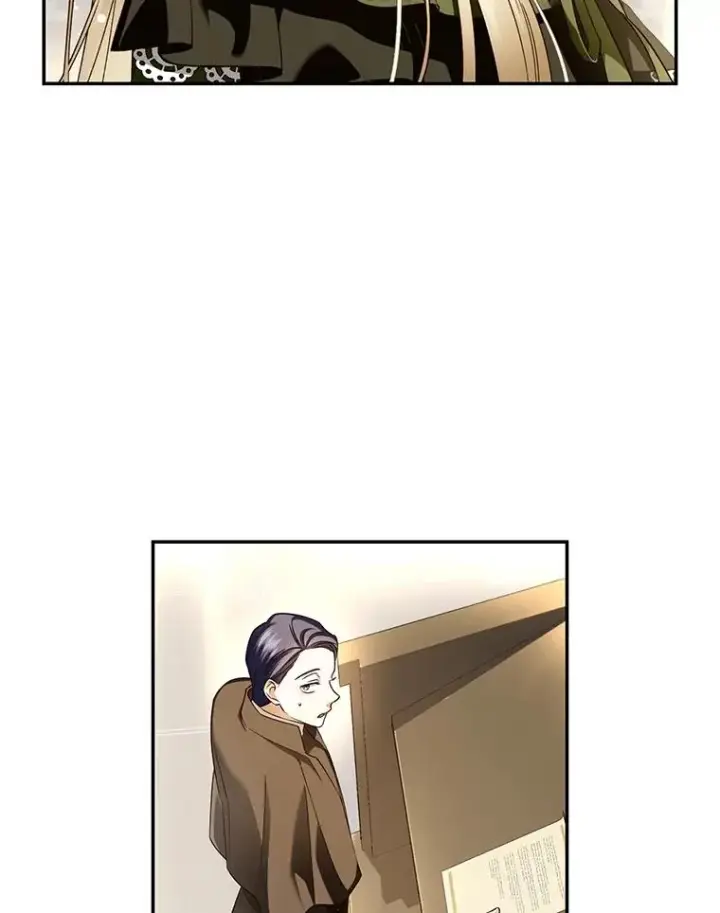 《如何隐藏皇帝的孩子》45.意外的客人图39