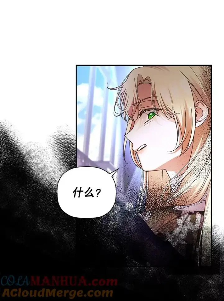 《如何隐藏皇帝的孩子》46.正面交锋图58