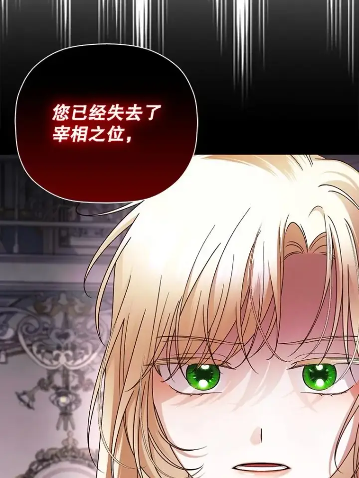 《如何隐藏皇帝的孩子》46.正面交锋图74