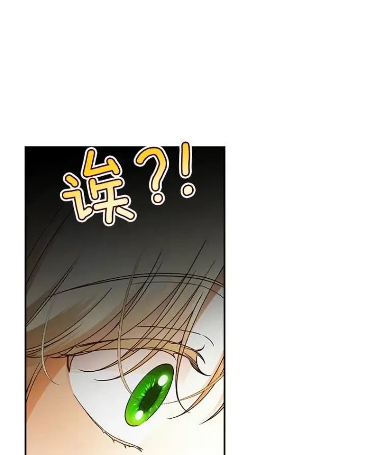 《如何隐藏皇帝的孩子》47.道别图65
