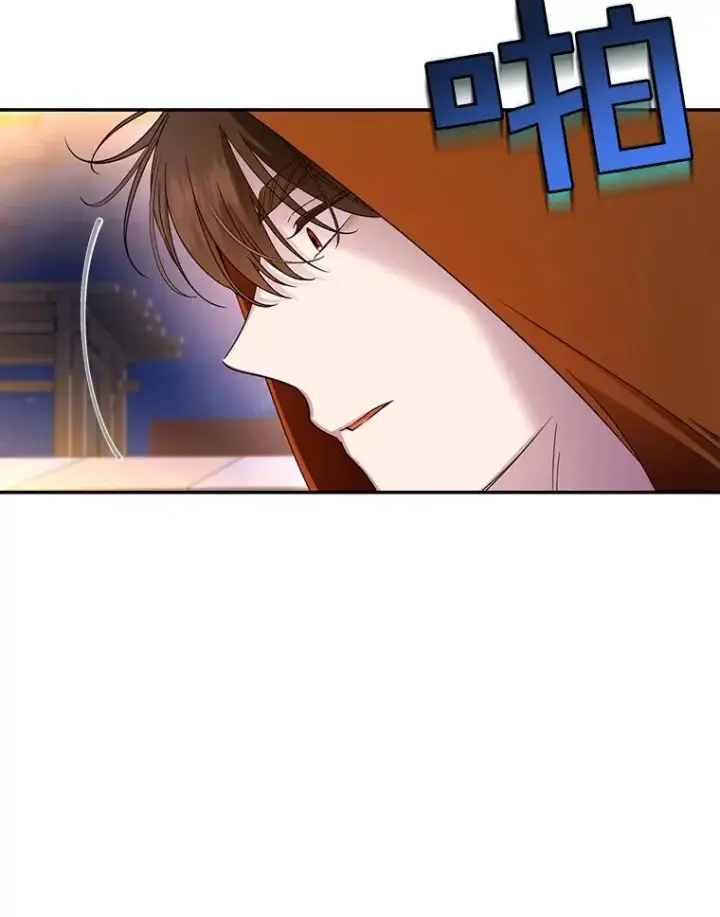 《如何隐藏皇帝的孩子》48.夜市上的意外图100