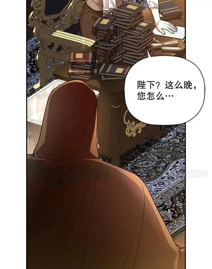《如何隐藏皇帝的孩子》49.露出马脚图104