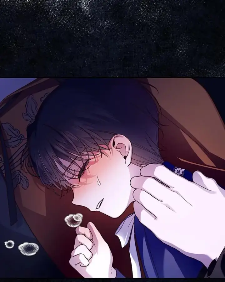 《如何隐藏皇帝的孩子》49.露出马脚图14