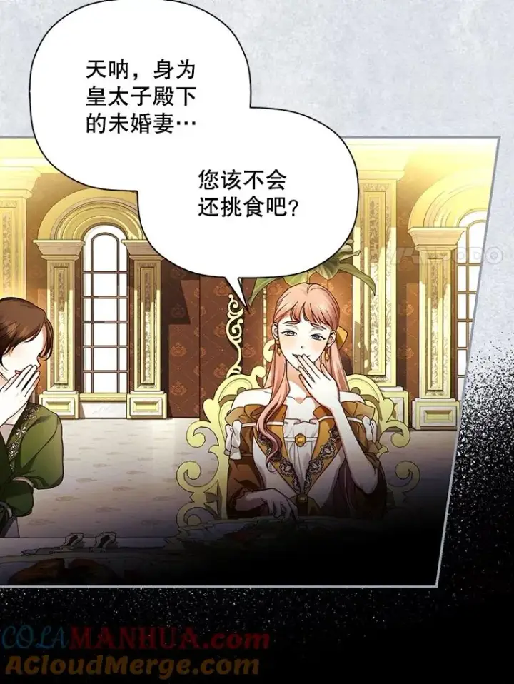 《如何隐藏皇帝的孩子》51.出逃计划图34